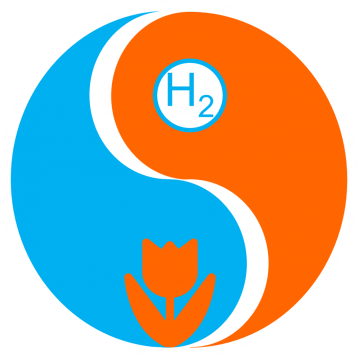 HyNed Logo